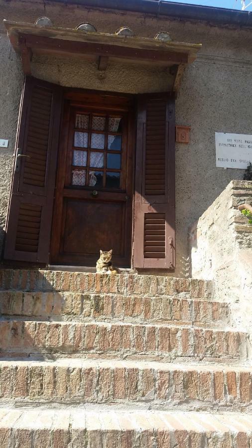 Torre Rossa Apartamento Bolgheri Exterior foto